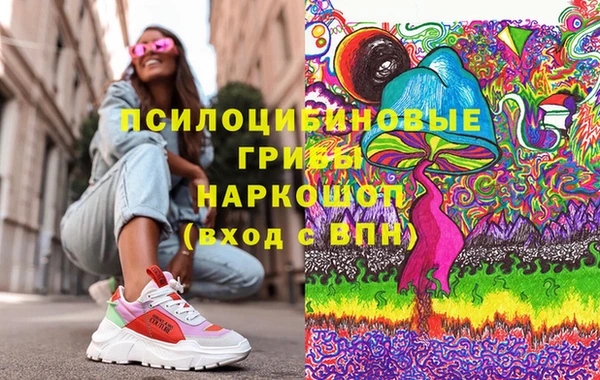 ешки Гусев