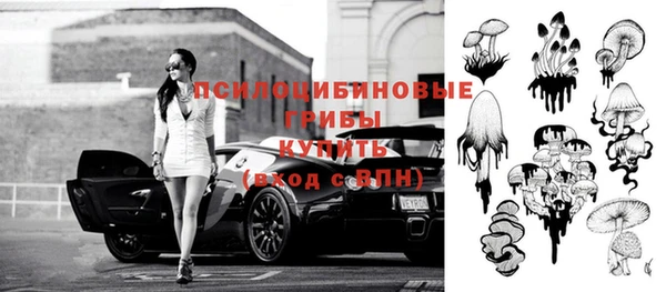 ешки Гусев