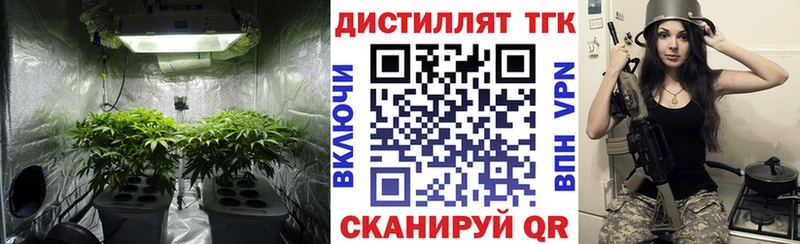 где купить наркоту  Нязепетровск  MEGA онион  ТГК THC oil 