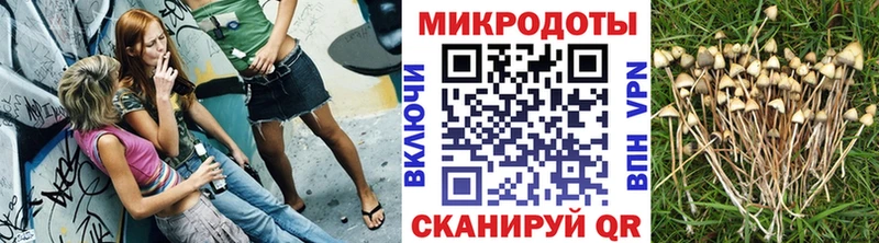 Псилоцибиновые грибы Psilocybine cubensis Нязепетровск